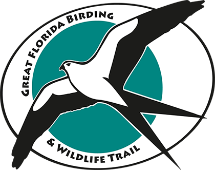 Great Florida Birding & Wildlife Trail